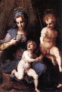 Andrea del Sarto Madonna mit Hl Johannes oil painting artist